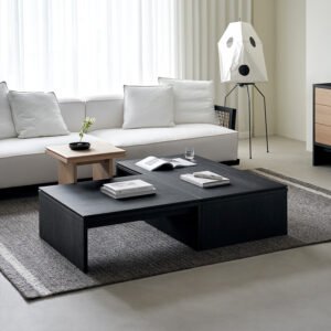 Multipurpose Coffee Table: Stylish Storage for Living Rooms